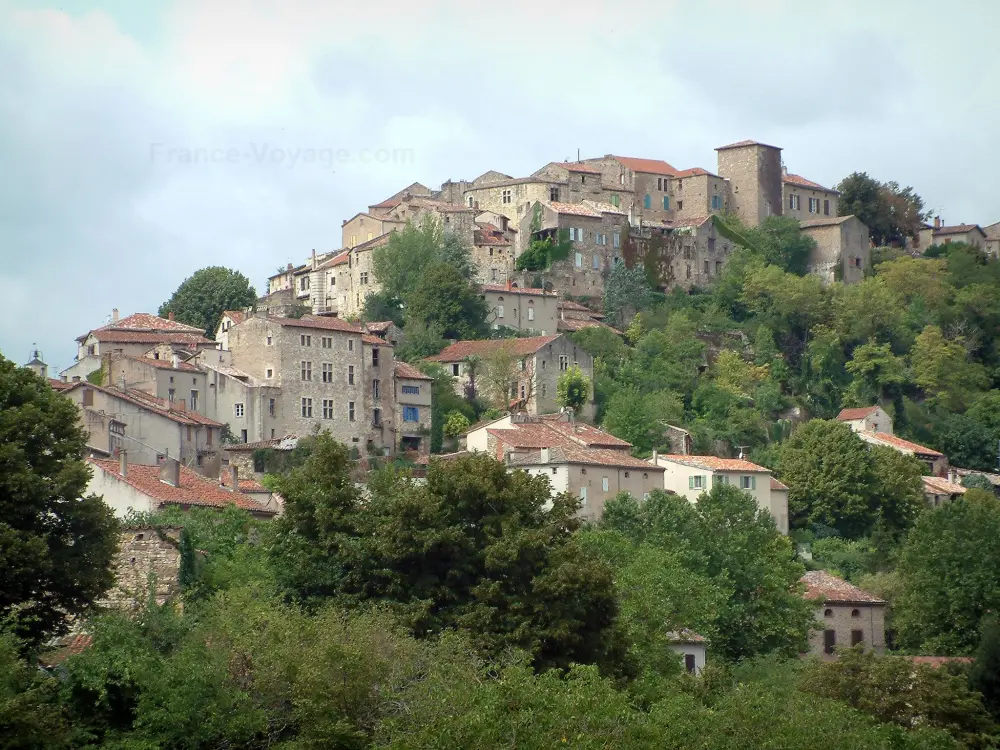 Guía de Tarn - Cordes-sur-Ciel - Vista de los árboles y las casas de la ciudad amurallada contra los albigenses