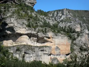 Tarn gorges - Cévennes National Park: limestone cliffs (rock walls) of the Cirque des Baumes rock formations