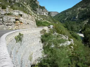 Tarn gorges - Cévennes National Park: Gorges road overlooking River Tarn