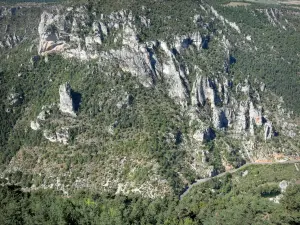 Tarn gorges - View of the rocks and limestone cliffs of the Tarn canyon from the belvedere Roc des Hourtous; in the Cévennes National Park