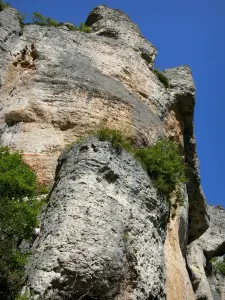 Tarn gorges - Rock walls of the Cirque des Baumes; in the Cévennes National Park