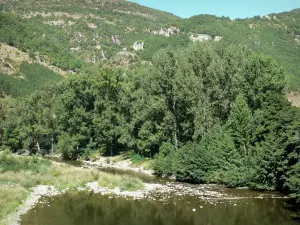 Tarn gorges - Tarn river lined with trees at the entrance of the gorges; in the Cévennes National Park