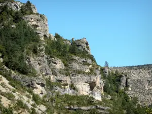 Tarn gorges - Cévennes National Park: rock walls and vegetation of the gorges