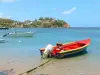 Tartane - Presqu'île de la Caravelle : baie de Tartane parsemée de bateaux avec vue sur les maisons de la pointe à Bibi (commune de La Trinité)
