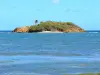 Tartane - Vue sur l'îlet Tartane et l'océan Atlantique depuis la plage de Tartane
