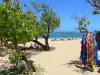 Tartária - Praia de areia sombreada com árvores