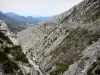 Taulanne water gap - Rock faces dotted with vegetation, Napoleon road and hills in background