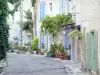 Taulignan - Gasse gesäumt von Häusern mit blauen und grünen Fensterläden