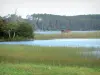 Teich von Aureilhan - Blick auf den Teich (Weiher) und seine grüne Umgebung