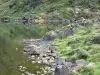 Teich Lers - Teich und sein Ufer; im Regionalen Naturpark der Ariège Pyrenäen, im Couserans, auf der Gemeinde Le Port