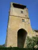 Termes-d'Armagnac - Tour de Termes (donjon), vestige du château de Thibault de Termes