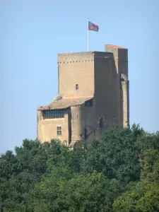 Termes-d'Armagnac - Tour de Termes (donjon), vestige du château de Thibault de Termes, et verdure