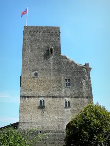 Termes-d'Armagnac - Tour de Termes (donjon), vestige du château de Thibault de Termes