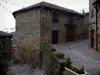 Ternand - Vie del paese, fiori in vaso e case in pietra, in Terra di Golden Pietra (Beaujolais)