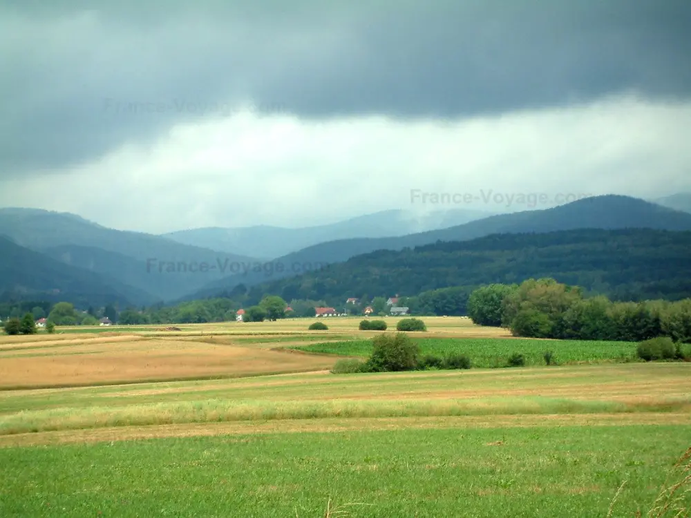 Guia do Território de Belforte - Paisagens do Territoire de Belfort - Planície coberta de campos e árvores, montanhas das montanhas de Vosges ao fundo