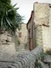 Teve - Beco pavimentado e casas de pedra da aldeia