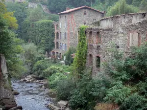 Thiers - Valley Mills: False Martel fabrieken langs de rivier Durolle en vegetatie in het Regionaal Natuurpark Livradois