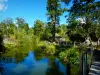Thoiry野生动物园 - 水边的树木和植被