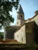 Thoronet修道院 - 普罗旺斯罗马风格的修道院修道院：一棵树的分支在前景和教会