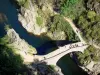 Thueyts - Vue sur le pont du Diable enjambant la rivière Ardèche ; dans le Parc Naturel Régional des Monts d'Ardèche