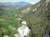 Thueyts - Vue sur la rivière Ardèche bordée de verdure ; dans le Parc Naturel Régional des Monts d'Ardèche