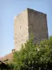 Torre de Albon - Torre medieval