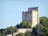 La torre di Crest - Guida turismo, vacanze e weekend nella Drôme