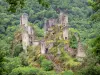 Torri di Merle - Città fortezza arroccata su uno sperone roccioso nel cuore della foresta di Xaintrie