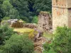 Torri di Merle - Resti della città fortezza