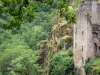 Torri di Merle - Resti medievali di sito Merle in un verde