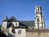 Toul - Collegiale kerk Saint-Gengoult en gevels van huizen in de oude stad