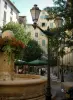Toulon - Fonte de flores, poste de luz, árvores e casas na cidade velha