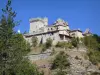 Toulourenc gorges - View of the medieval castle of Aulan