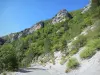 Toulourenc gorges - Gorge road lined with trees and rock walls