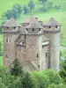 Tournemire和Anjony城堡 - 城堡的地下城及其角落塔楼顶部是胡椒瓶，绿色环境