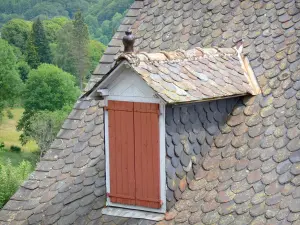 Tournemire und das Schloss von Anjony - Dachfenster eines Hauses