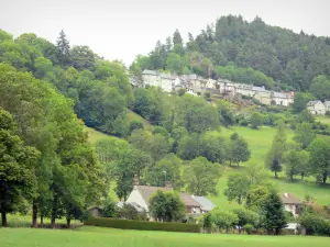Tournemire und das Schloss von Anjony - Tournemire-Häuser in einer grünen Umgebung