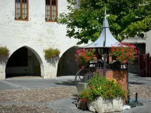Tournon-d'Agenais - Bastide : puits fleuri (fleurs) et maison à arcades de la place des cornières