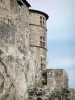 Tournon-sur-Rhône - Glasramen van het kasteel van Tournon