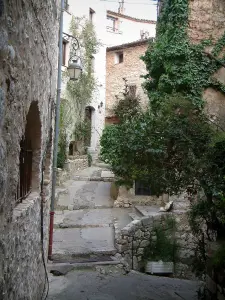 Tourrettes-sur-Loup - Picturesque narrow street and its stone houses, plant