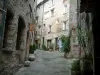 Tourrettes-sur-Loup - Alley y sus pintorescas casas de piedra, las plantas