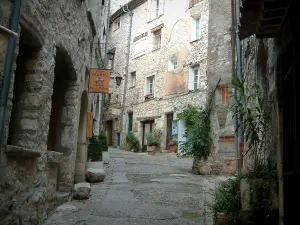 Tourrettes-sur-Loup - Picturesque narrow street and its stone houses, plant