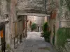 Tourrettes-sur-Loup - Beco inclinado com a sua passagem (alpendre), casas de pedra e plantas verdes