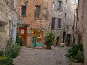 Tourrettes-sur-Loup - Narrow street lined with beautiful stone houses, arts and crafts shop of and plants