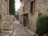 Tourrettes-sur-Loup - Ruelle avec son escalier et ses maisons en pierre, plante