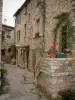 Tourrettes-sur-Loup - Rua estreita com uma casa de pedra, um gato e flores