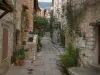 Tourrettes-sur-Loup - Rue étroite bordée de maisons et d'escaliers en pierre, de plantes et de pots de fleurs