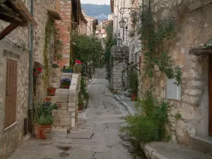 Tourrettes-sur-Loup - Narrow street lined with houses and stone staircases, plants and flowerpots