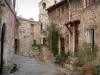 Tourrettes-sur-Loup - Callejón decorado con casas de piedra, una pequeña escalera, una lámpara de la planta, y macetas