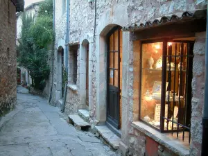 Tourrettes-sur-Loup - Narrow street with arts and crafts shop of and plants